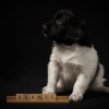© all rights reserved - Photo by Lisanne Bakker