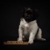 © all rights reserved - Photo by Lisanne Bakker