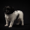 © all rights reserved - Photo by Lisanne Bakker