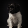 © all rights reserved - Photo by Lisanne Bakker