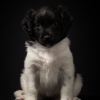 © all rights reserved - Photo by Lisanne Bakker