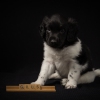 © all rights reserved - Photo by Lisanne Bakker
