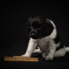 © all rights reserved - Photo by Lisanne Bakker