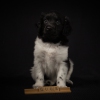 © all rights reserved - Photo by Lisanne Bakker