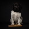 © all rights reserved - Photo by Lisanne Bakker