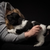 © all rights reserved - Photo by Lisanne Bakker