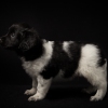 © all rights reserved - Photo by Lisanne Bakker