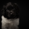 © all rights reserved - Photo by Lisanne Bakker