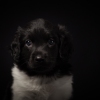 © all rights reserved - Photo by Lisanne Bakker