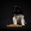 © all rights reserved - Photo by Lisanne Bakker