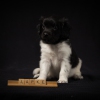 © all rights reserved - Photo by Lisanne Bakker