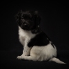© all rights reserved - Photo by Lisanne Bakker
