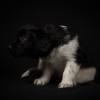 © all rights reserved - Photo by Lisanne Bakker