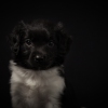 © all rights reserved - Photo by Lisanne Bakker