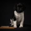 © all rights reserved - Photo by Lisanne Bakker