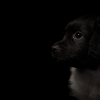 © all rights reserved - Photo by Lisanne Bakker