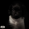 © all rights reserved - Photo by Lisanne Bakker