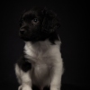 © all rights reserved - Photo by Lisanne Bakker