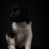 © all rights reserved - Photo by Lisanne Bakker