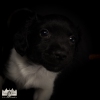 © all rights reserved - Photo by Lisanne Bakker