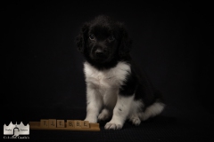 © all rights reserved - Photo by Lisanne Bakker