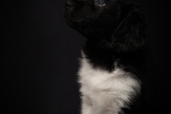 © all rights reserved - Photo by Lisanne Bakker