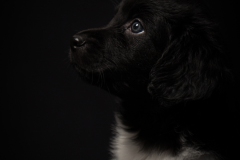 © all rights reserved - Photo by Lisanne Bakker