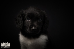 © all rights reserved - Photo by Lisanne Bakker