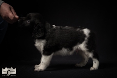 © all rights reserved - Photo by Lisanne Bakker