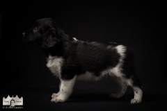 © all rights reserved - Photo by Lisanne Bakker