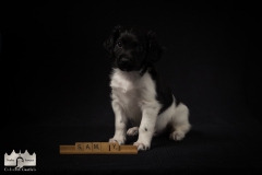 © all rights reserved - Photo by Lisanne Bakker