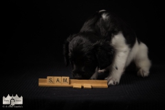© all rights reserved - Photo by Lisanne Bakker