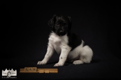 © all rights reserved - Photo by Lisanne Bakker