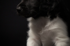 © all rights reserved - Photo by Lisanne Bakker