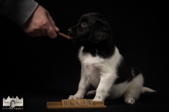 © all rights reserved - Photo by Lisanne Bakker