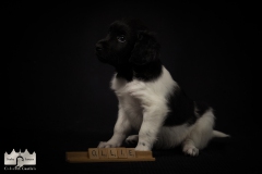 © all rights reserved - Photo by Lisanne Bakker