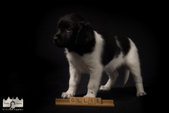 © all rights reserved - Photo by Lisanne Bakker