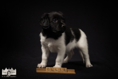 © all rights reserved - Photo by Lisanne Bakker