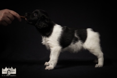 © all rights reserved - Photo by Lisanne Bakker