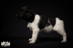 © all rights reserved - Photo by Lisanne Bakker