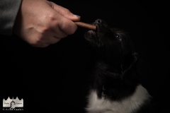 © all rights reserved - Photo by Lisanne Bakker