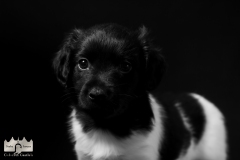 © all rights reserved - Photo by Lisanne Bakker