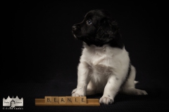© all rights reserved - Photo by Lisanne Bakker