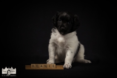 © all rights reserved - Photo by Lisanne Bakker