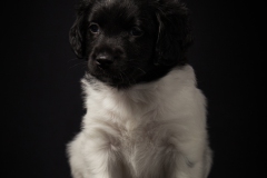 © all rights reserved - Photo by Lisanne Bakker