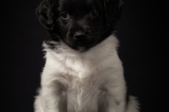 © all rights reserved - Photo by Lisanne Bakker