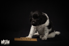 © all rights reserved - Photo by Lisanne Bakker