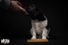 © all rights reserved - Photo by Lisanne Bakker