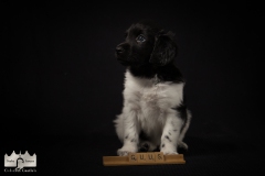 © all rights reserved - Photo by Lisanne Bakker