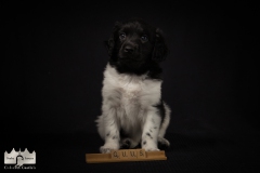 © all rights reserved - Photo by Lisanne Bakker